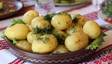 aardappelseten artikel
