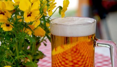bier artikel