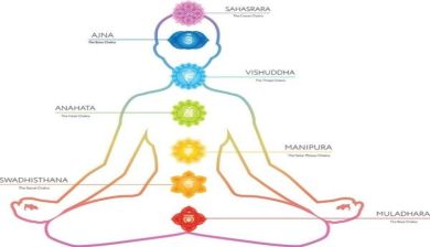 chakra artikel