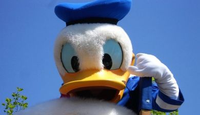 donald artikel