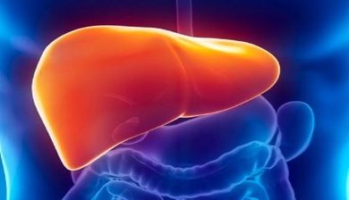 hepatitis artikel