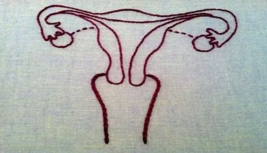 hormonen artikel