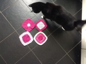 kat met grannies