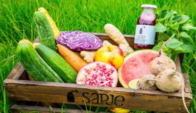 smoothie artikel