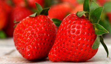 strawberrie artikel