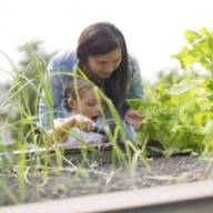TuinIdee 2018: aftrap van nieuw tuinseizoen
