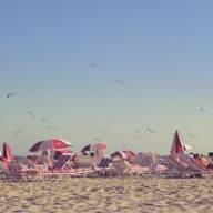 De leukste Noordhollandse strandtenten