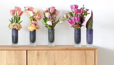 tulpentijd1