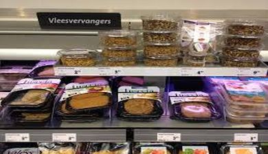 vleesvervangers artikel