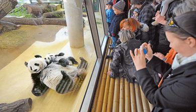zoo artikel